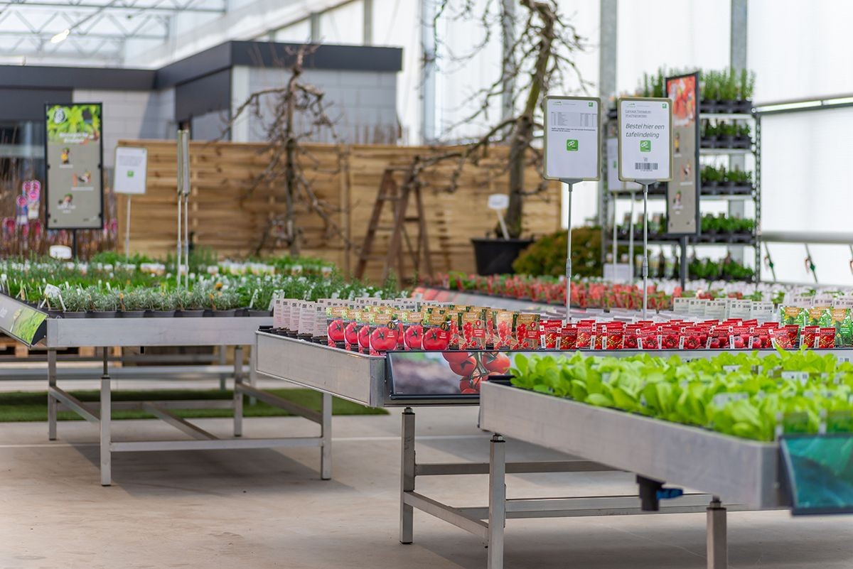 Afbeelding voor categorie Groenten & Kruiden